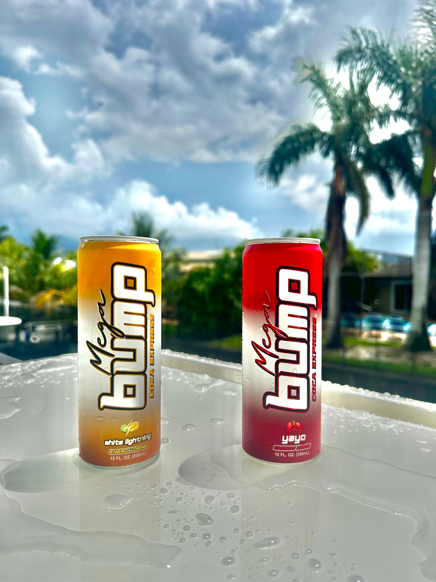 Mega Bump Energy Drink 12 Pack - COCA enfused