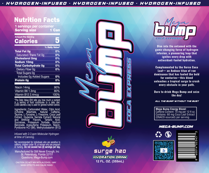 Mega Bump Energy Drink - Surge Flavor (12-Pack, 12 oz Sleek Cans)